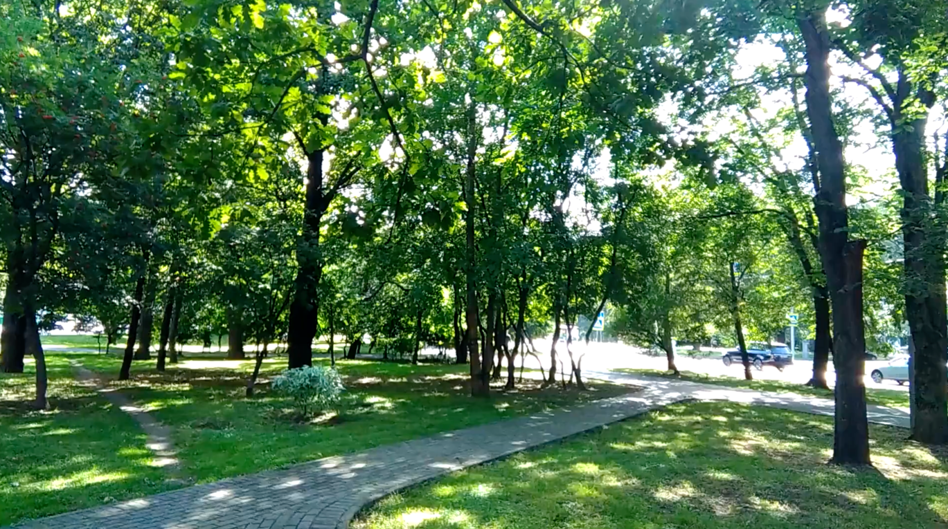 Vidéo interne